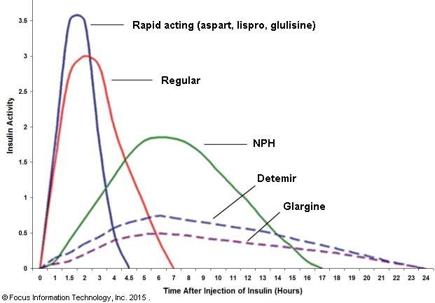 lorazepam onset peak duration novolog vs humalog